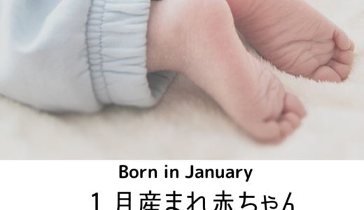1月生まれの赤ちゃん。１年間の服装と生活で役立った物